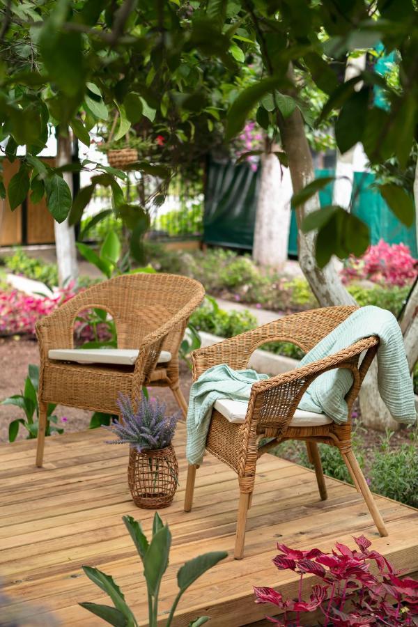 Gayb-I Bungalows By Naturelife - Free Access To Beach ชิลารึ ภายนอก รูปภาพ